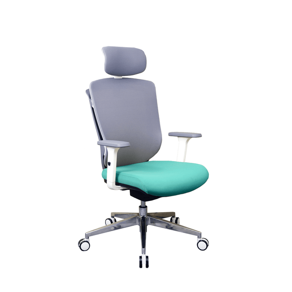 Zenox Zagen Ergonomic Office Chair (Sky Blue)