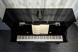 Philips 71669 M5 Professional Piano Light - Desk Lamp - Philips - Zenox