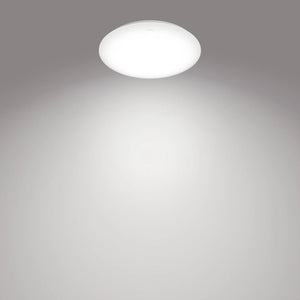 Philips CL200 G2 EC RD 17W 40K W HV 03 - Ceiling Light - Philips - Zenox