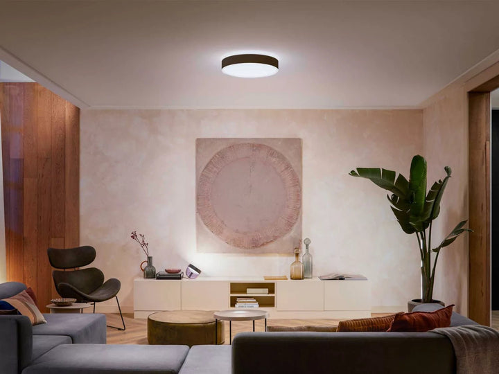 Philips Hue Enrave L Ceiling Lamp Black - Ceiling Light - Philips Hue - Zenox