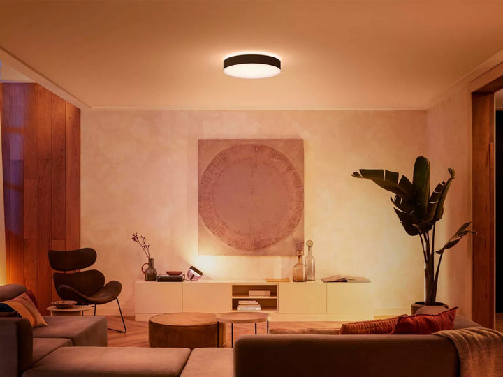 Philips Hue Enrave L Ceiling Lamp Black - Ceiling Light - Philips Hue - Zenox
