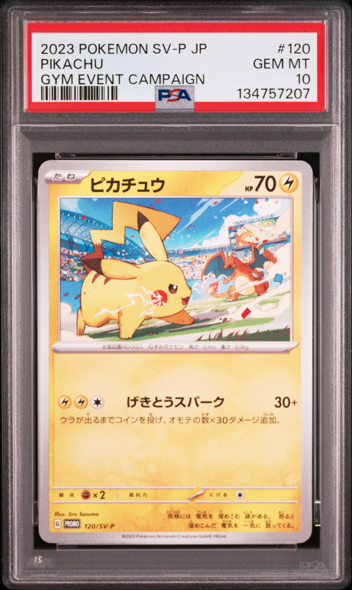 Pokemon - Pikachu 120/SV - P - Singles - Pokemon - Zenox