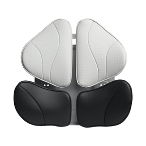 Zenox Clover Lumbar Support - Chair Cushion - Zenox - Zenox