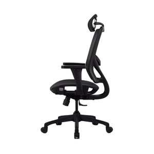 Zenox Ergonomics - Hokai Office Chair - Office Chair - Zenox - Zenox
