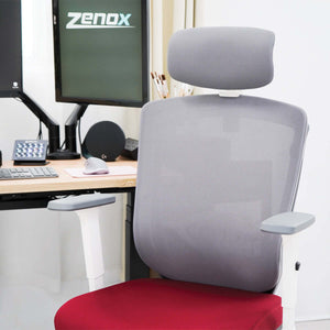 Zenox Zagen Ergonomic Office Chair (Sky Blue) - Office Chair - Zenox - Zenox