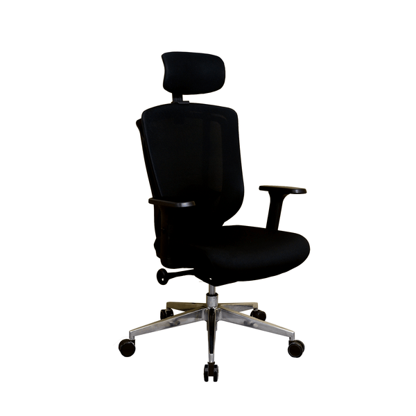 Zenox Zagen Ergonomic Office Chair (Black)