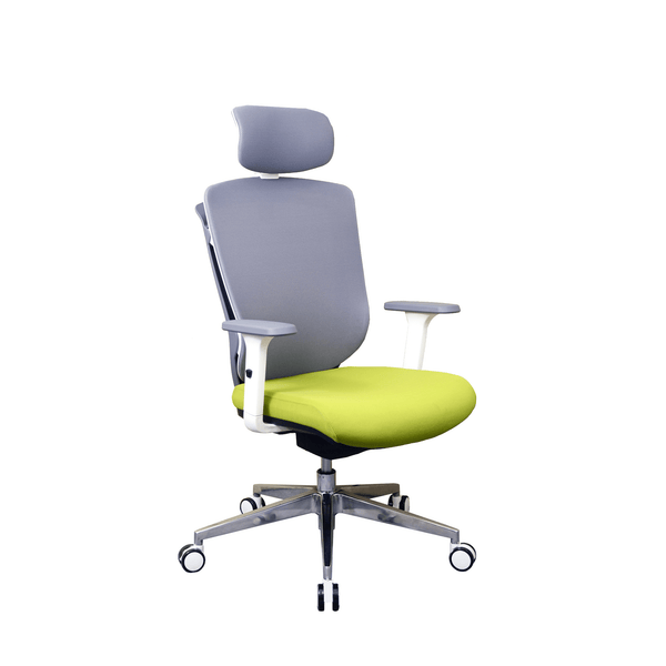 Zenox Zagen Ergonomic Office Chair (Green)