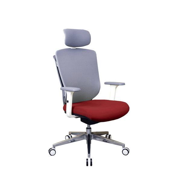 Zenox Zagen Ergonomic Office Chair (Red)