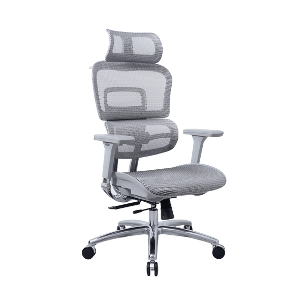Zenox Ten-E Ergonomic Office Chair (Grey)