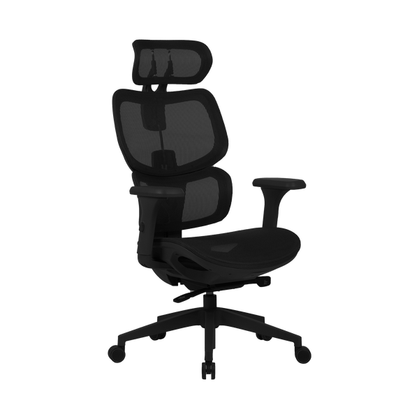 Zenox Shiho Ergonomic Office Chair (Black)