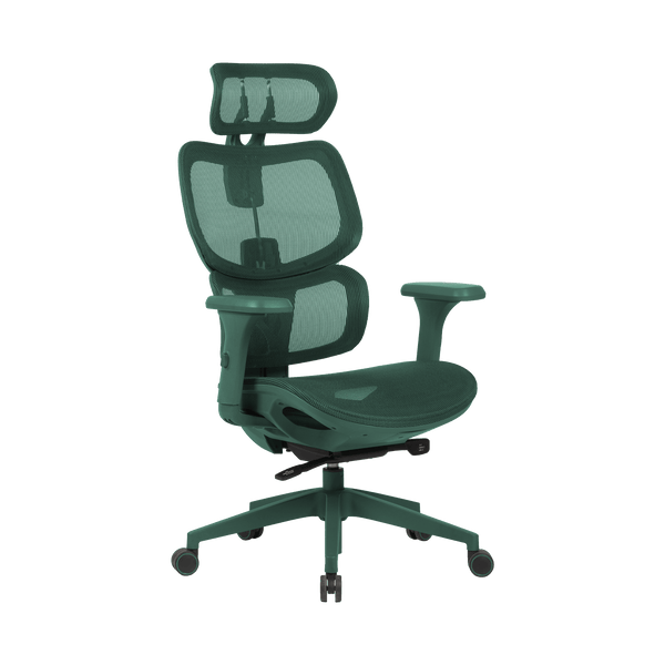 Zenox Shiho Ergonomic Office Chair (Green)