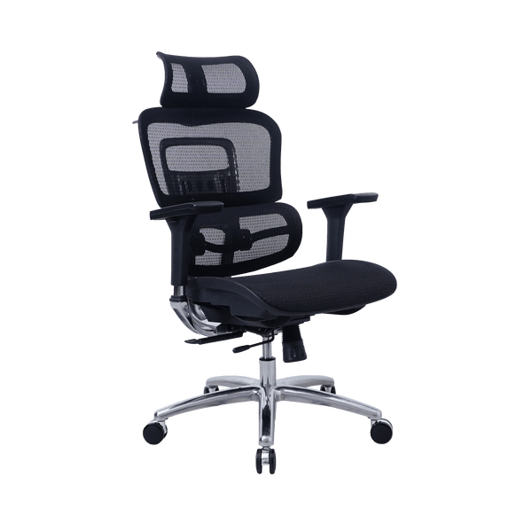 Zenox Ten-E Ergonomic Office Chair (Black)