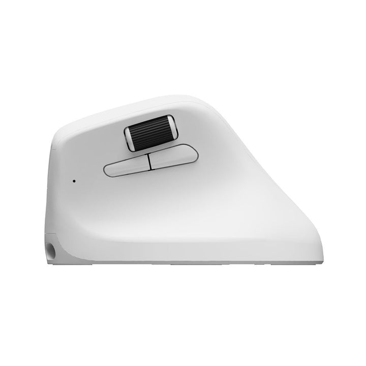 Keychron M5 Wireless Ergonomic Mouse - Mouse - Keychron - Zenox