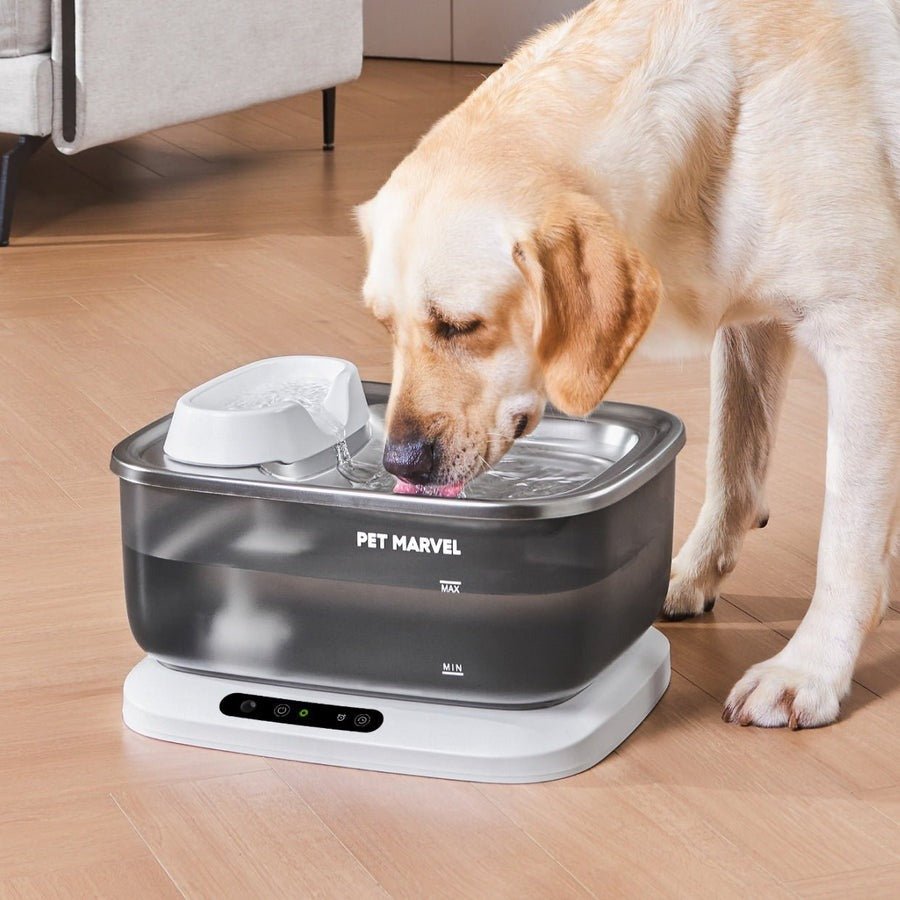 Pet Marvel - Cordless Dog Water Fountain [F2V2] - Pet Supplies - Pet Marvel - Zenox