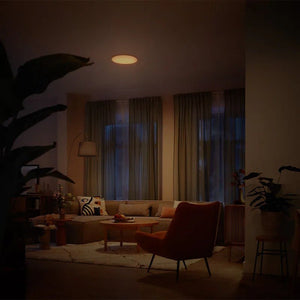 Philips Izso CL620 AIO RD 24W 27 - 40 - 65K W RC - Ceiling Light - Philips - Zenox