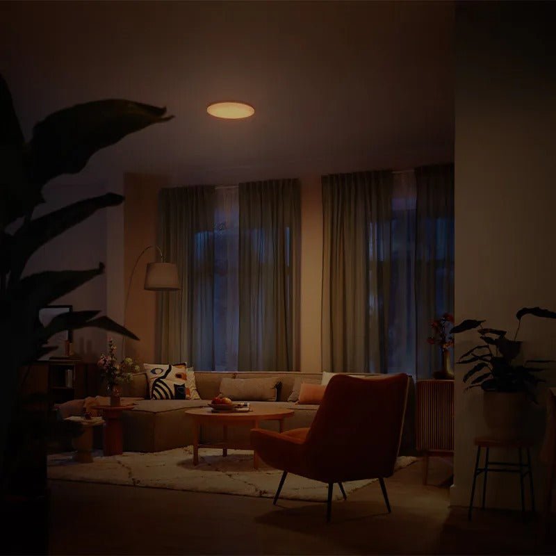 Philips Izso CL620 AIO RD 24W 27 - 40 - 65K W RC - Ceiling Light - Philips - Zenox