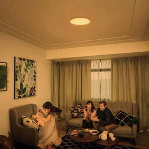 Philips Izso CL620 AIO RD 24W 27 - 40 - 65K W RC - Ceiling Light - Philips - Zenox