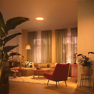 Philips Izso CL620 AIO RD 24W 27 - 40 - 65K W RC - Ceiling Light - Philips - Zenox