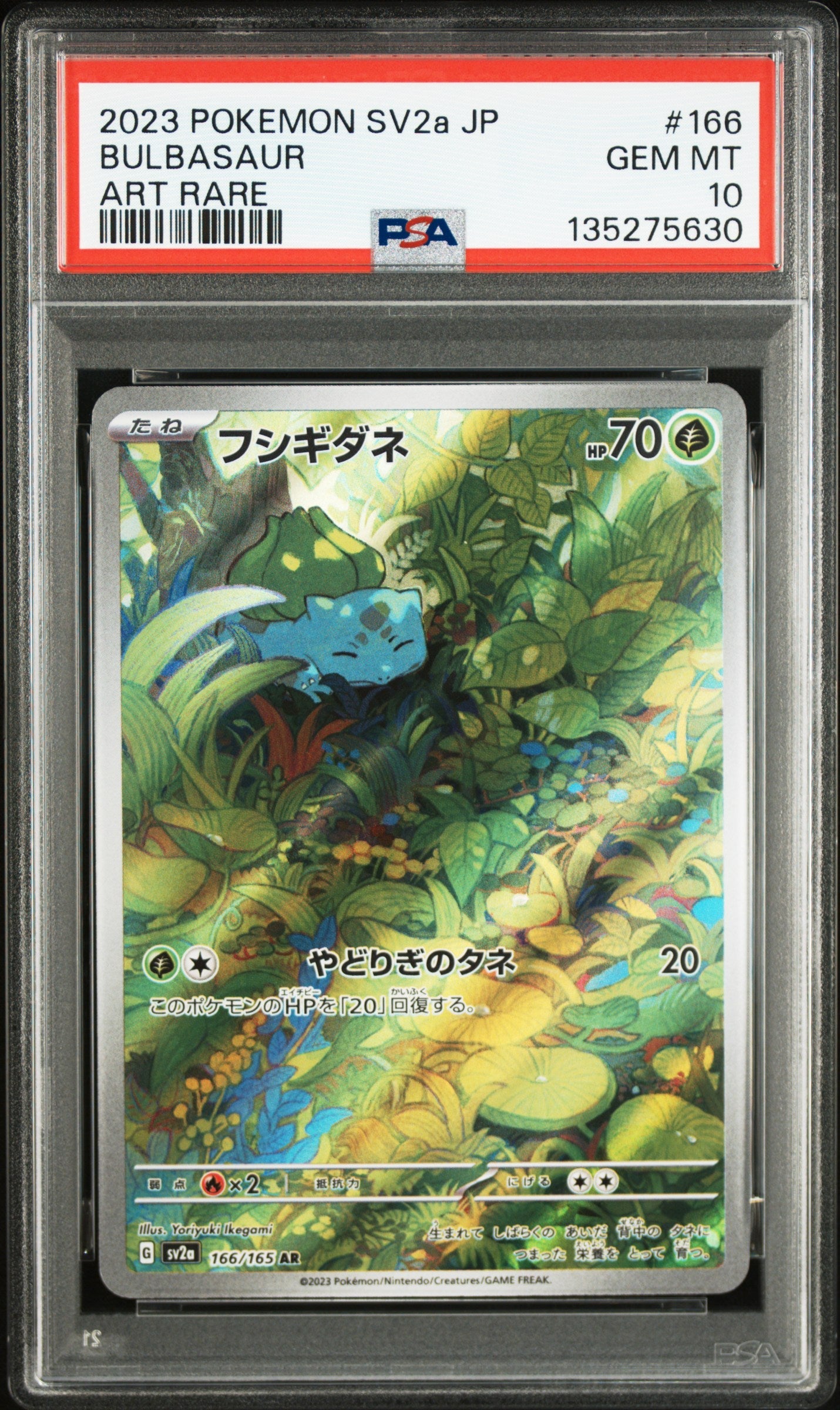 Pokemon - Bulbasaur AR Holo 166/165 - Singles - Pokemon - Zenox