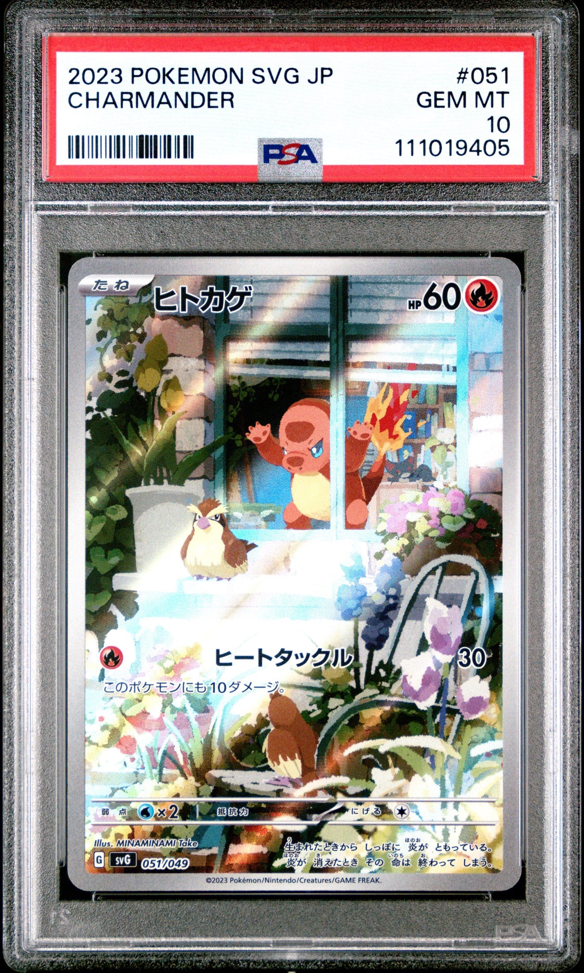 Pokemon - Bulbasaur Charmander Squirtle (殼損) svG set 050 - 052 P10 set (連號) - Singles - Pokemon - Zenox