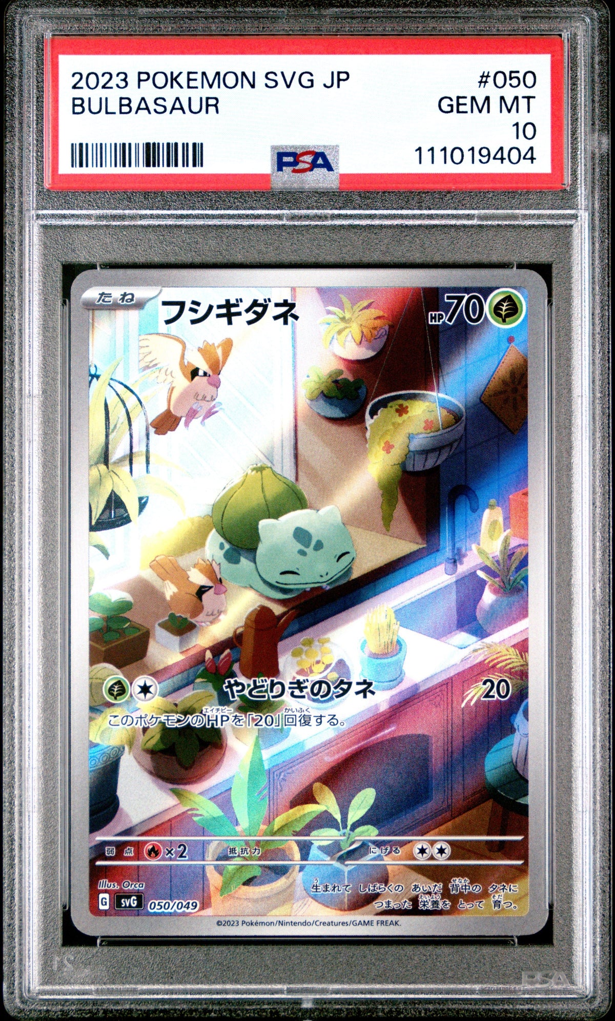 Pokemon - Bulbasaur Charmander Squirtle (殼損) svG set 050 - 052 P10 set (連號) - Singles - Pokemon - Zenox