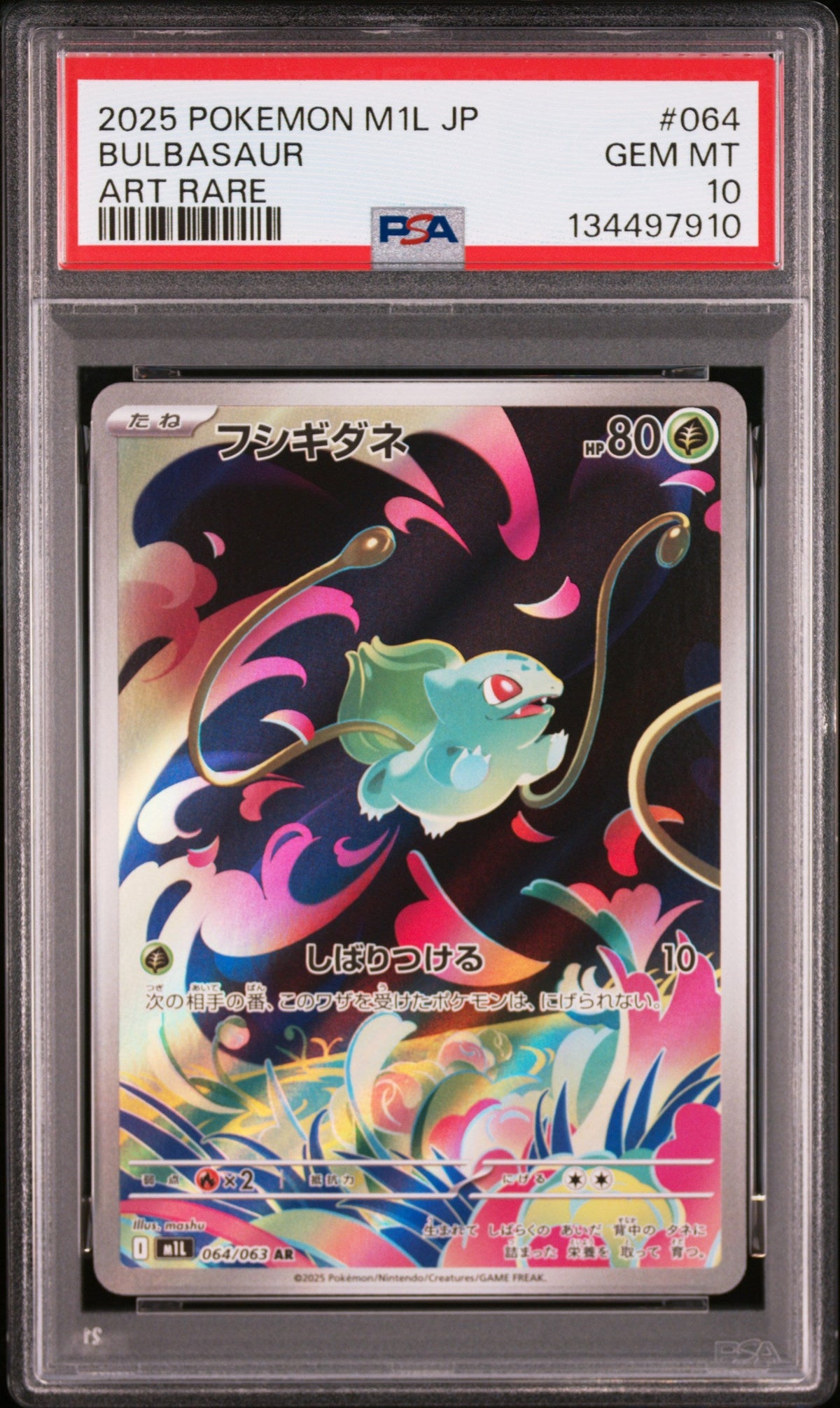 Pokemon - Bulbasaur (JP) 064/063 - Singles - Pokemon - Zenox