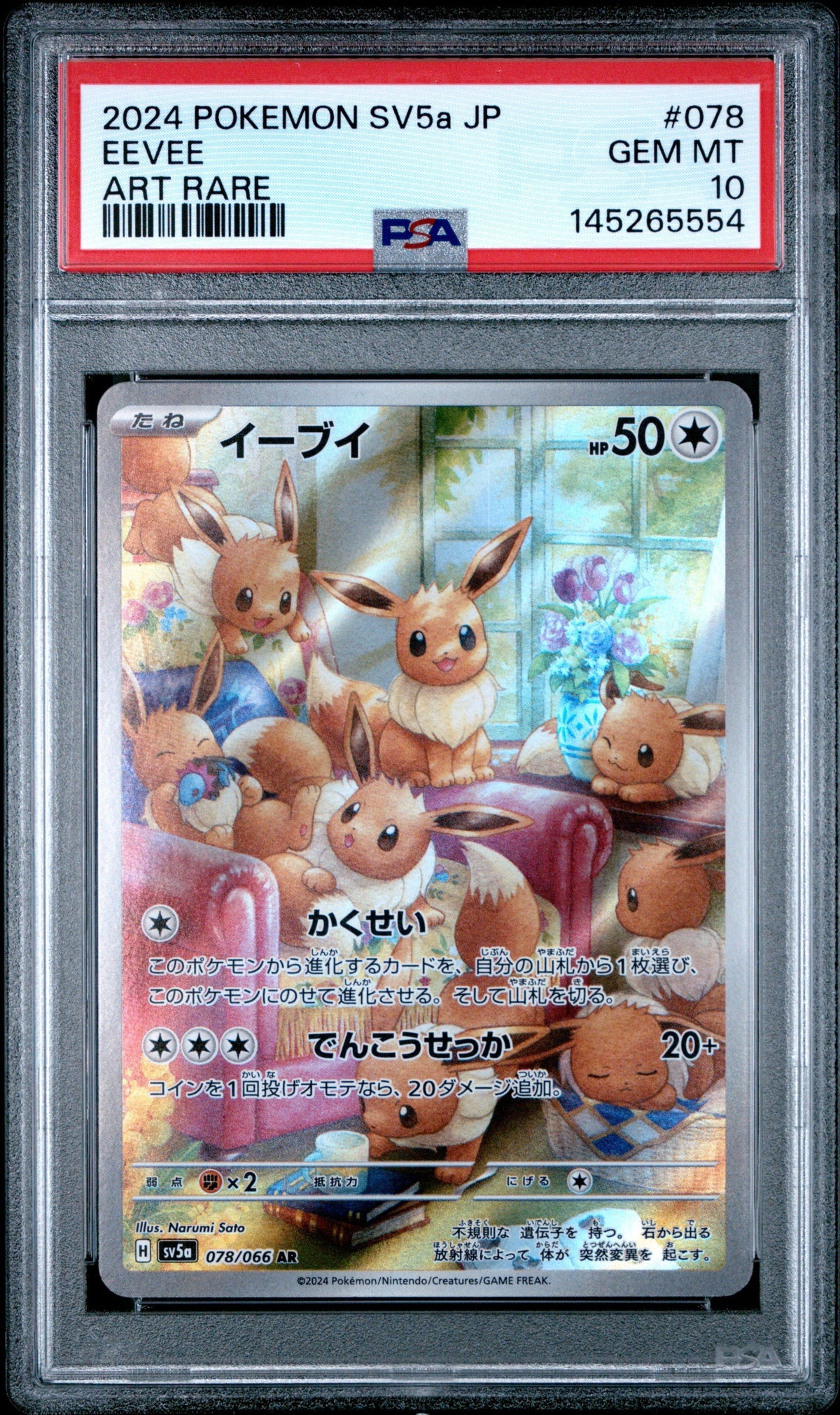 Pokemon - Eevee Art Rare 078/066 - Singles -Pokemon - Zenox