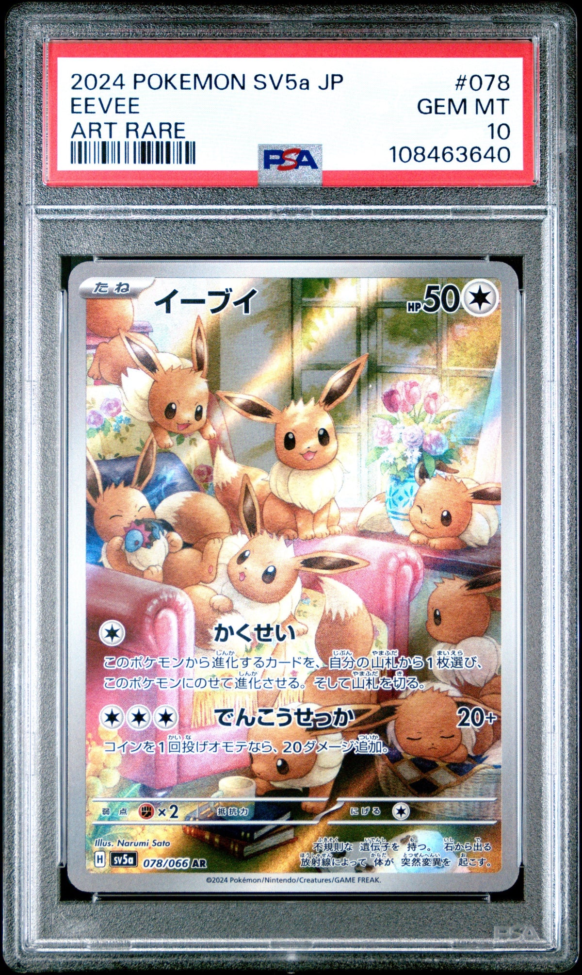Pokemon - Eevee (JP) 078/066 - Singles -Pokemon - Zenox