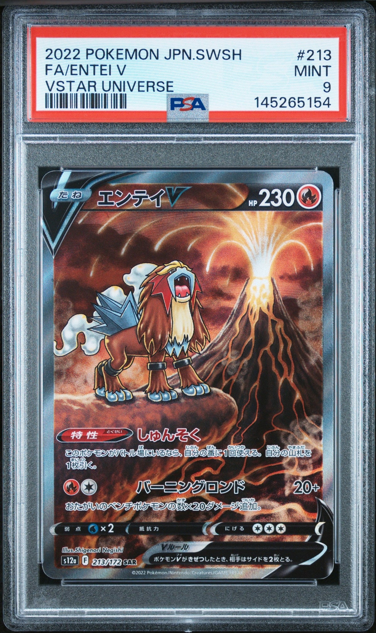 Pokemon - Entei V 213/172 - Singles -Pokemon - Zenox