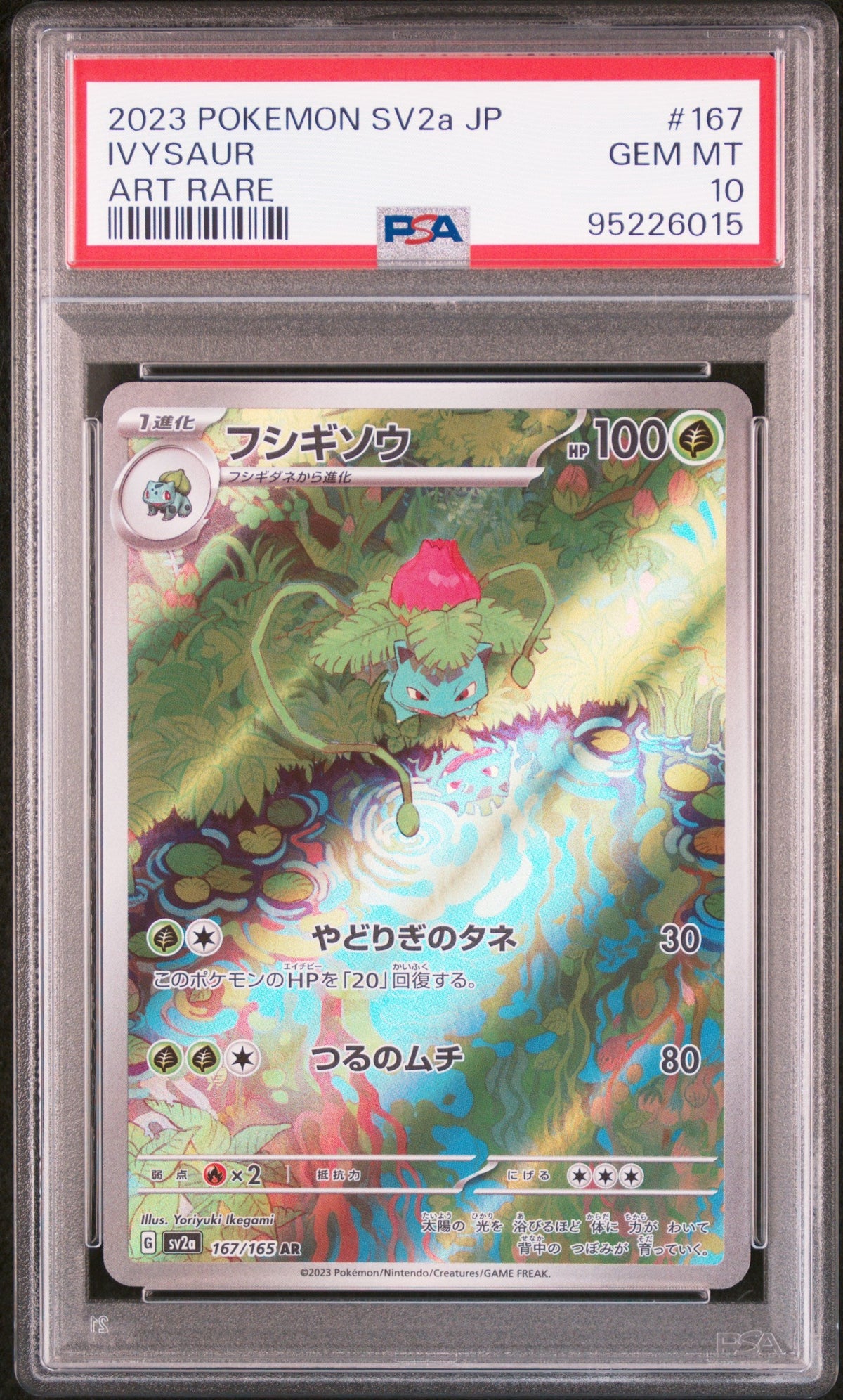 Pokemon - Ivysaur AR Holo 167/165 - Singles - Pokemon - Zenox