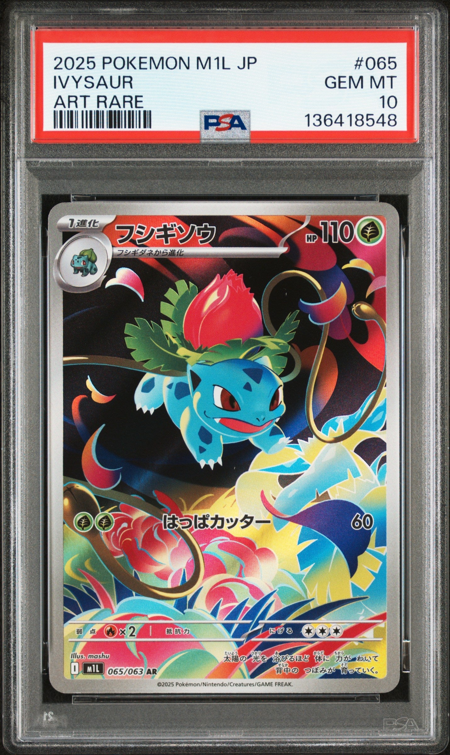 Pokemon - Ivysaur (JP) m1L 065/063 - Singles -Pokemon - Zenox