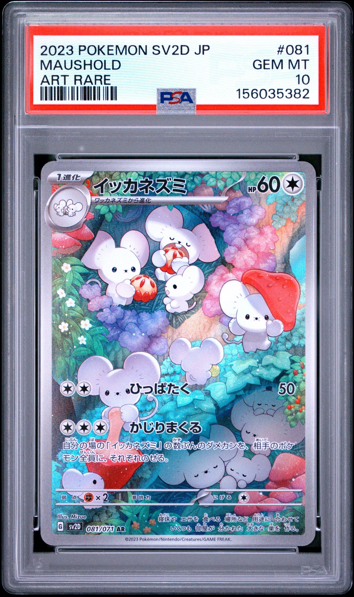 Pokemon - Maushold 081/071 - Singles -Pokemon - Zenox