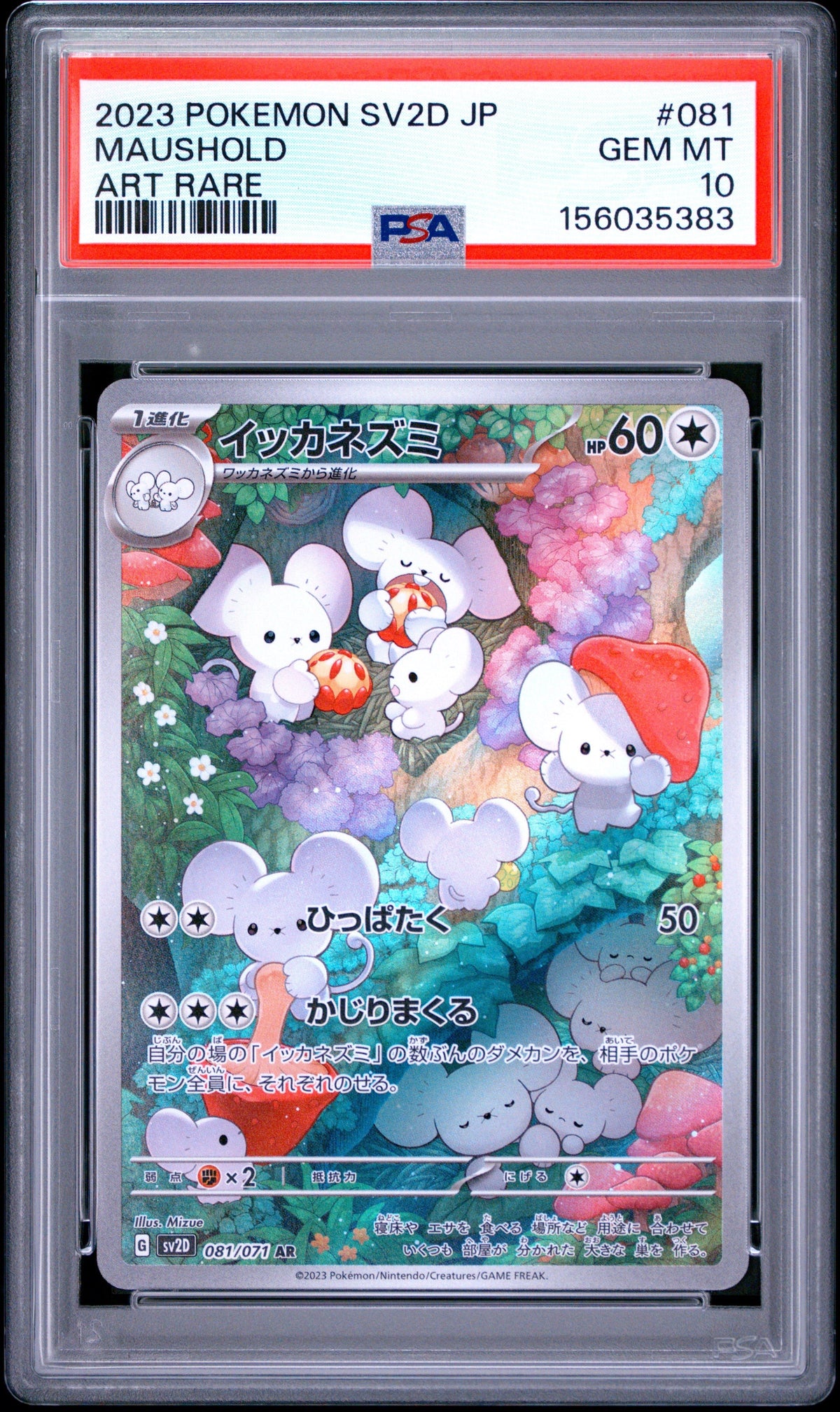 Pokemon - Maushold 081/071 - Singles -Pokemon - Zenox