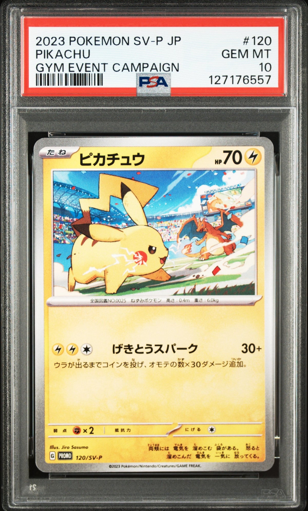 Pokemon - Pikachu 120/SV - P - Singles - Pokemon - Zenox