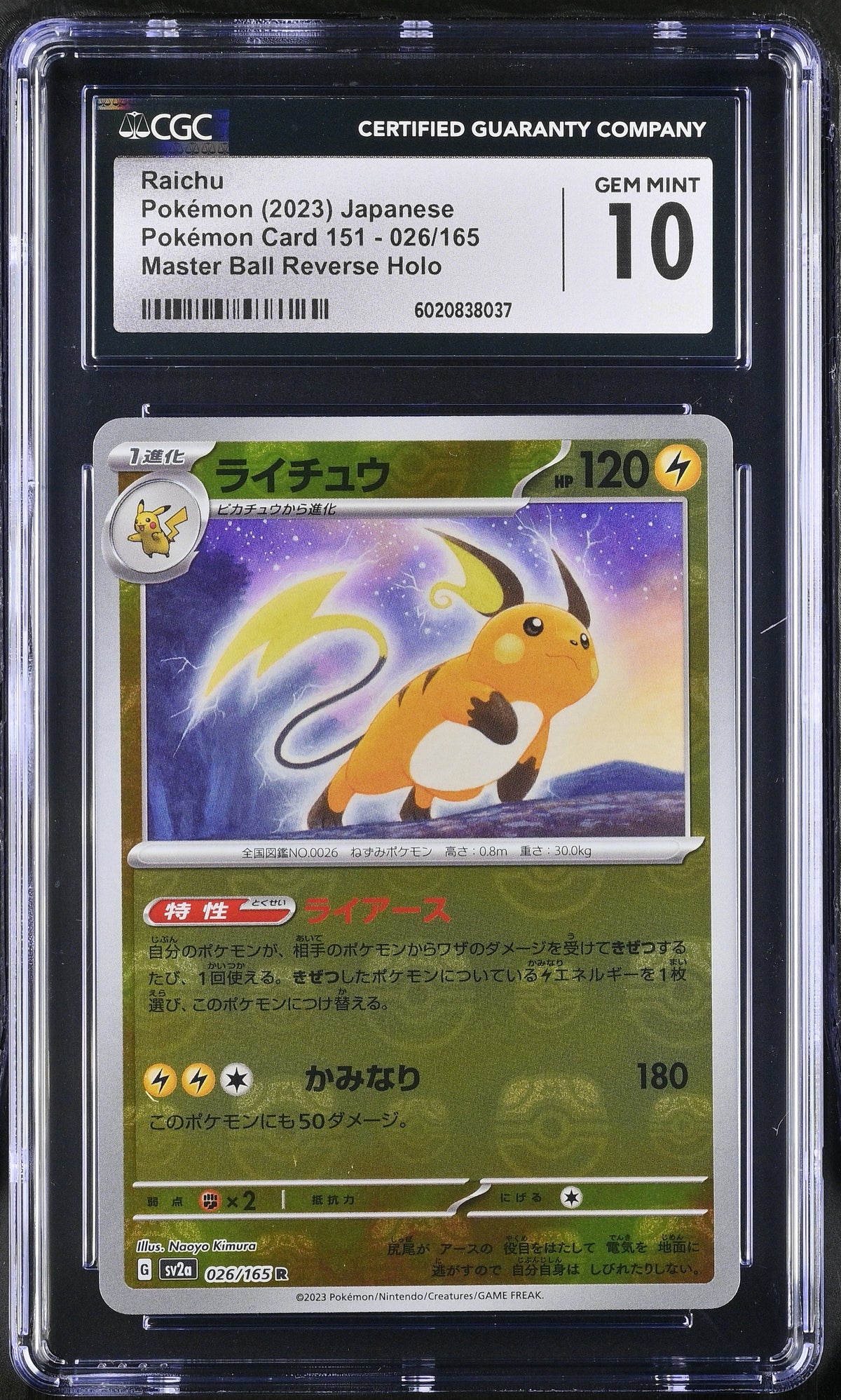 Pokemon - Raichu Master Ball Reverse Holo 026/165 - Singles - Pokemon - Zenox