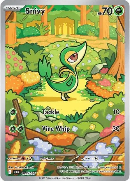 Pokemon Single Cards - Snivy AR 087/086 - Singles - Pokemon - Zenox