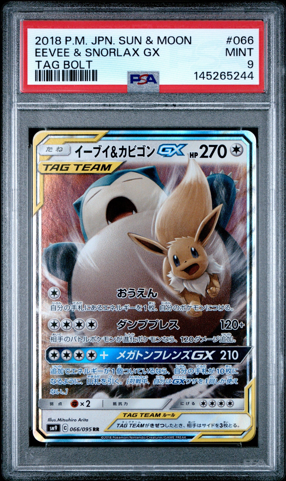 Pokemon - Snorlax & Eevee GX 066/095 - Singles -Pokemon - Zenox