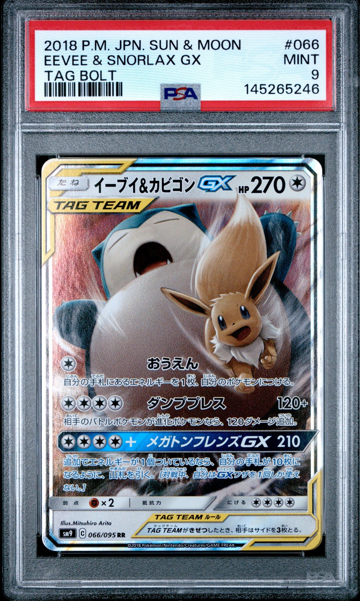 Pokemon - Snorlax & Eevee GX 066/095 - Singles -Pokemon - Zenox