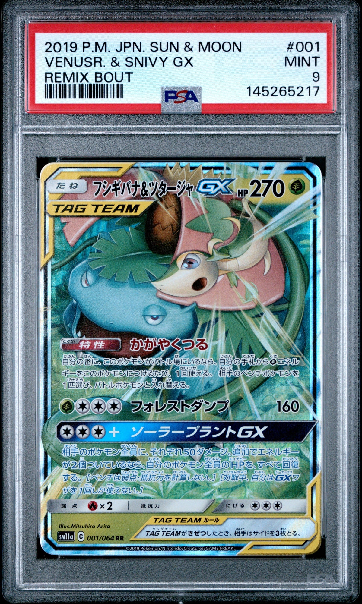 Pokemon - Venusaur & Snivy GX 001/064 - Singles -Pokemon - Zenox