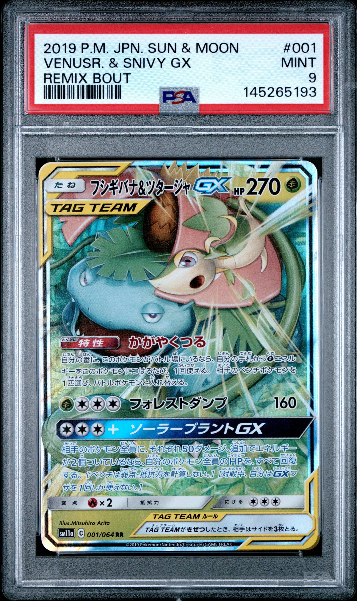 Pokemon - Venusaur & Snivy GX 001/064 - Singles -Pokemon - Zenox