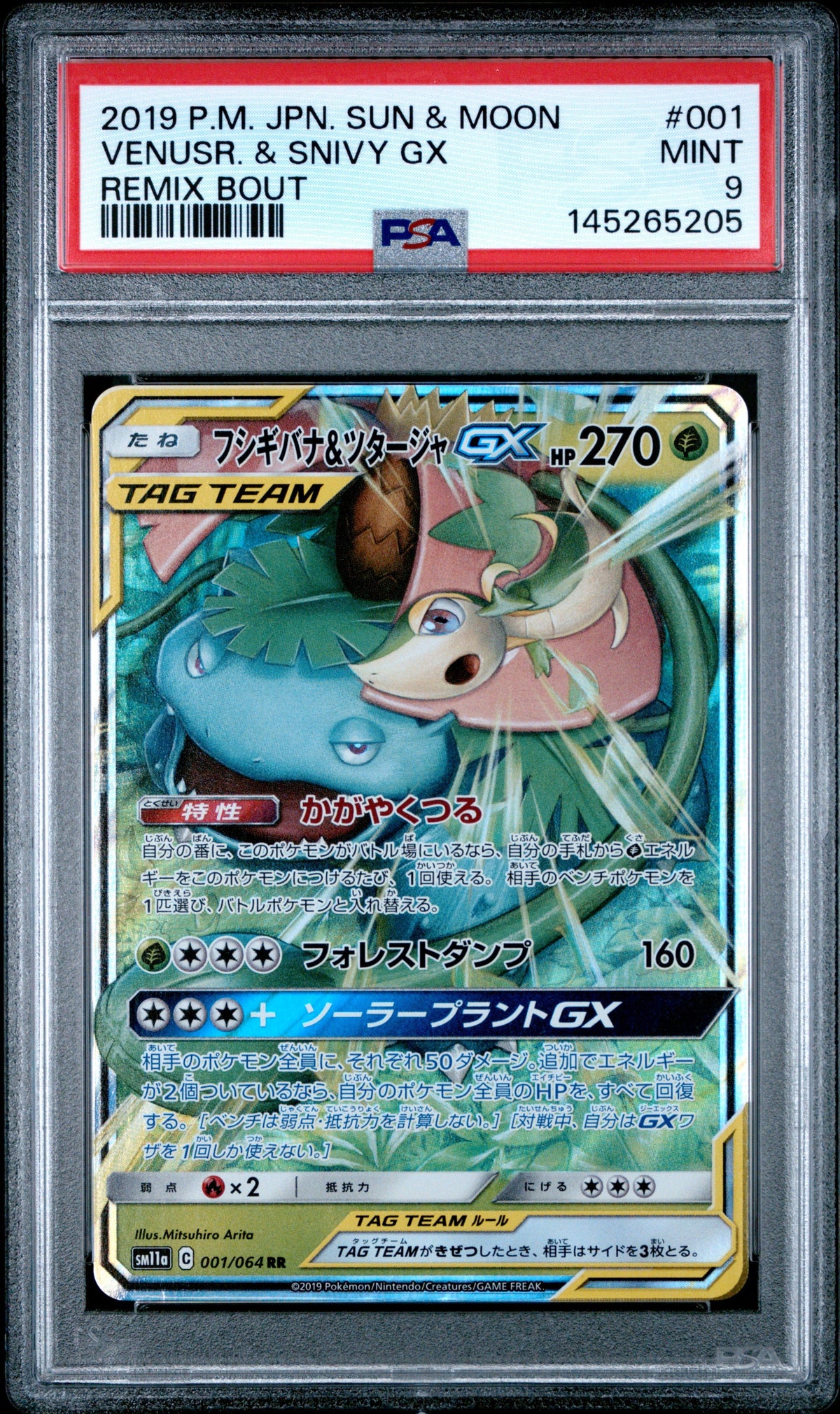 Pokemon - Venusaur & Snivy GX 001/064 - Singles -Pokemon - Zenox