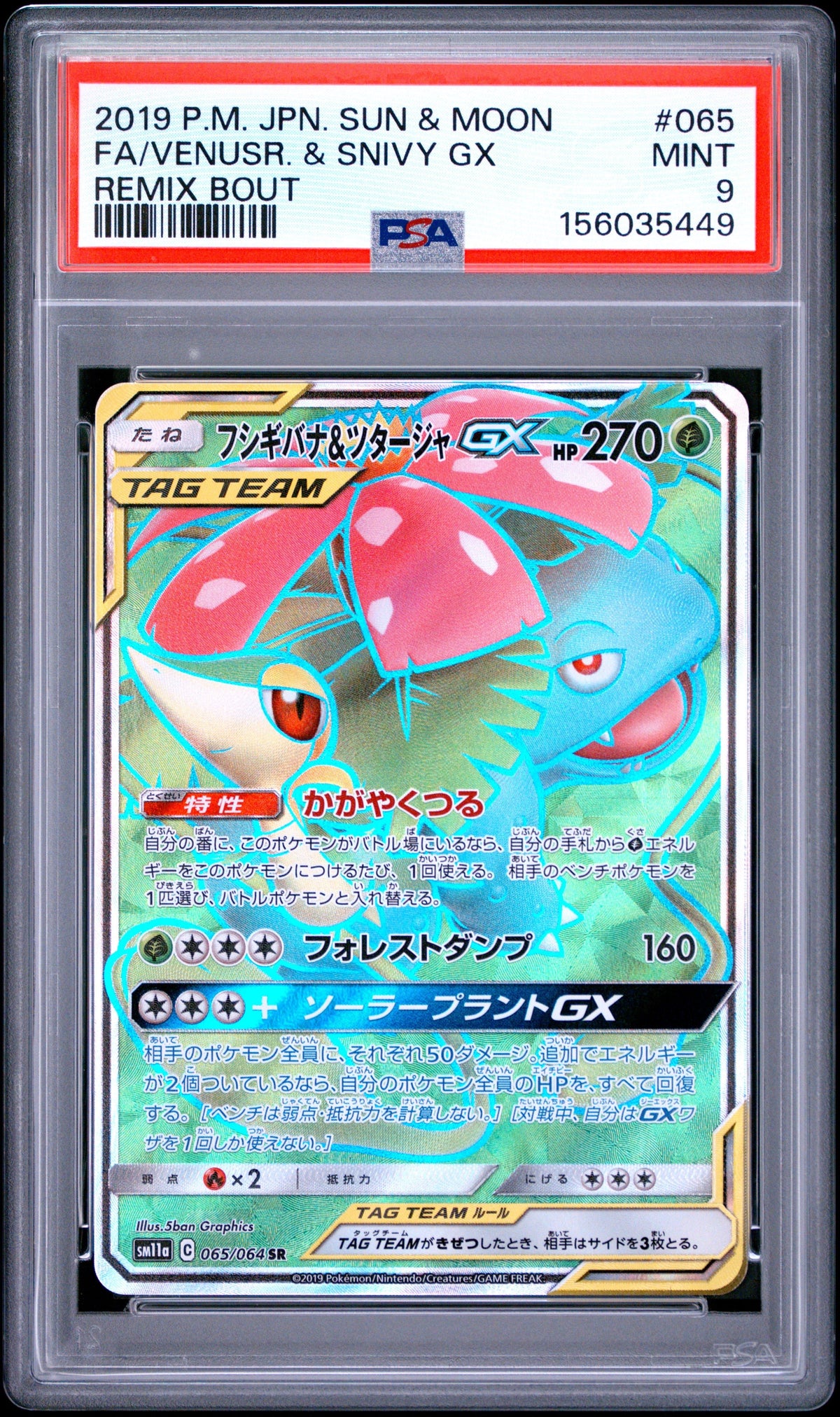 Pokemon - Venusaur & Snivy GX 065/064 - Singles -Pokemon - Zenox
