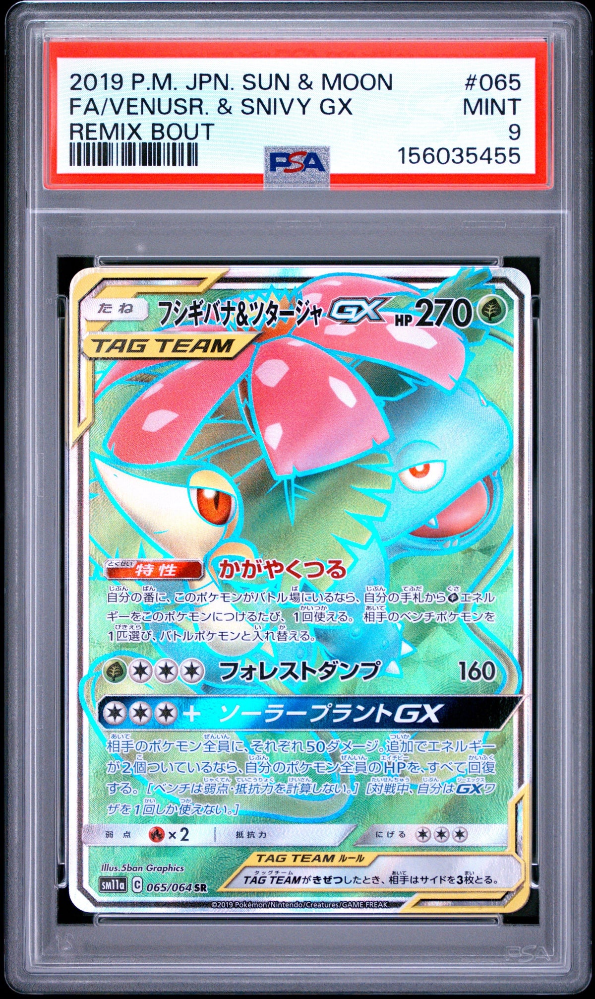 Pokemon - Venusaur & Snivy GX 065/064 - Singles -Pokemon - Zenox