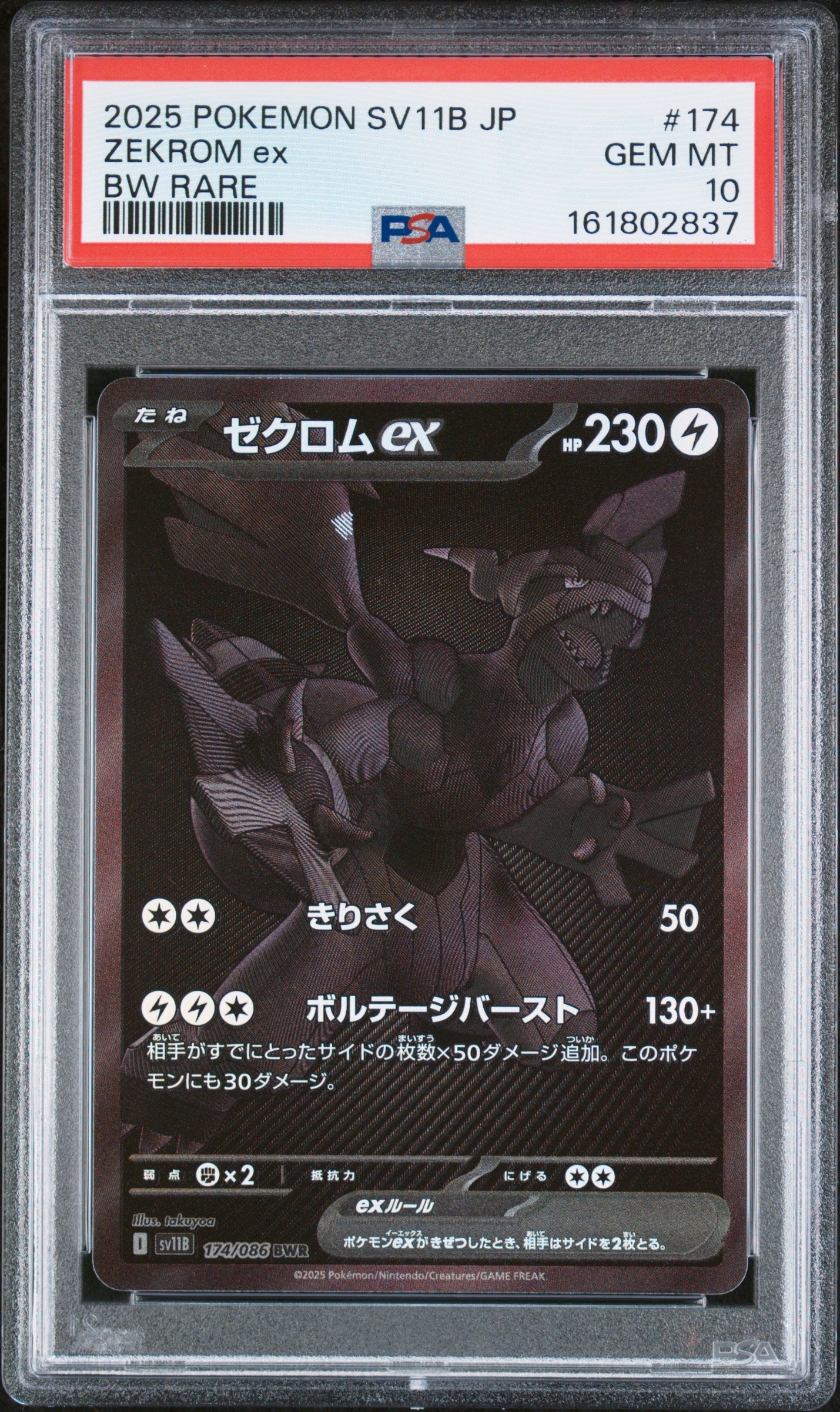 Pokemon - Zekrom ex 174/086 - Singles -Pokemon - Zenox