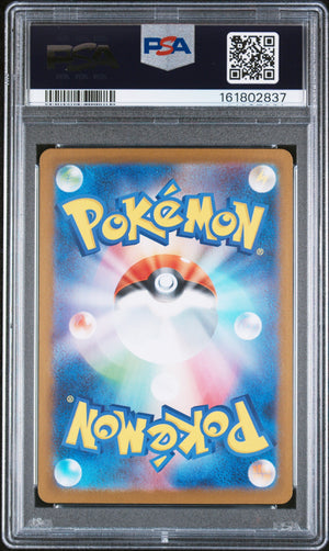 Pokemon - Zekrom ex 174/086 - Singles -Pokemon - Zenox
