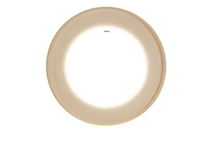 VX304 RUOHE RD 450 Ceiling LED G - Smart Ceiling Light - Philips - Zenox