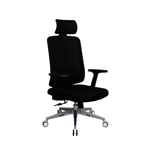 Zenox Joza Ergonomic Chair (Black)
