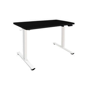 Zenox Ergonomic Essential Standing Desk - Office Desk -Zenox - Zenox