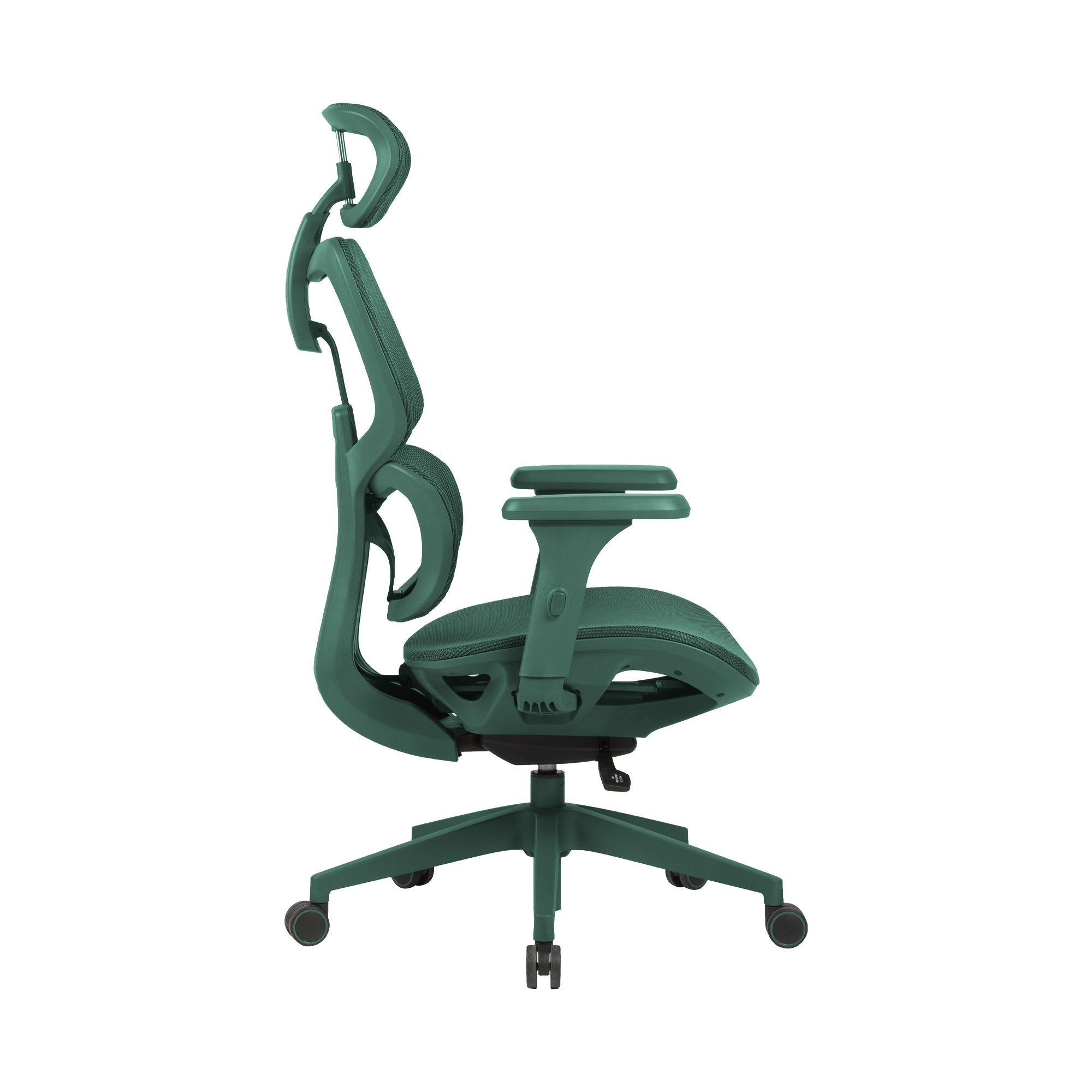 Zenox Shiho Ergonomic Office Chair (Green) - Office Chair - Zenox - Zenox