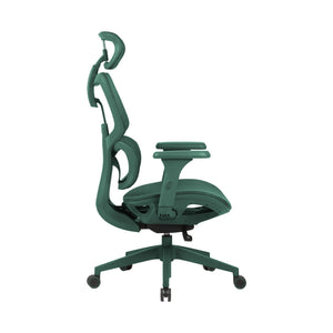 Zenox Shiho Ergonomic Office Chair (Green) - Office Chair - Zenox - Zenox